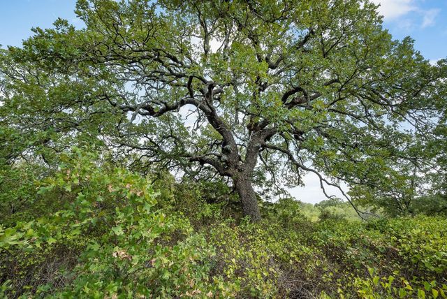 Lot 15 Double B Ranch Road S, Perrin, TX 76486