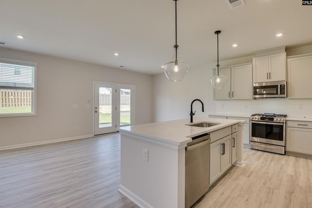 2116 Coral Daisy Trail, Lexington, SC 29073