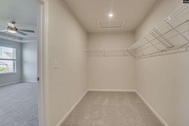 2116 Coral Daisy Trail, Lexington, SC 29073