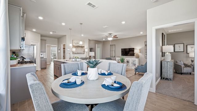 138 RINGTRAIL Drive, Rhome, TX 76078