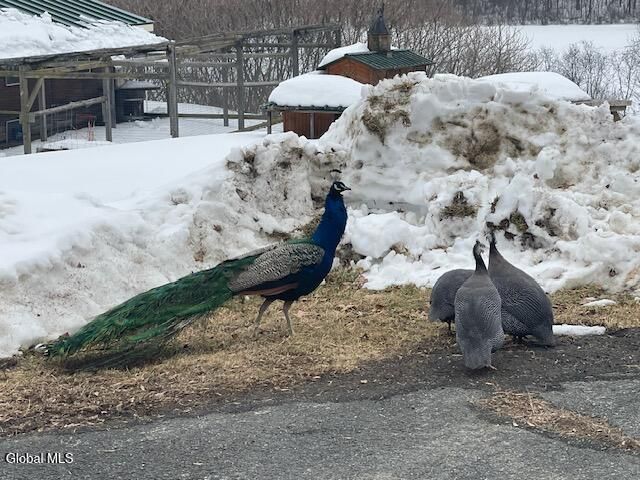 62 Tybush Lane, Brunswick, NY 12180