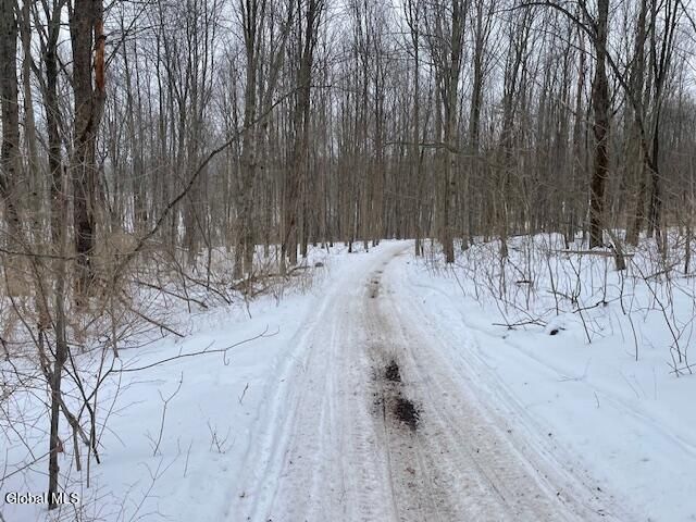 62 Tybush Lane, Brunswick, NY 12180