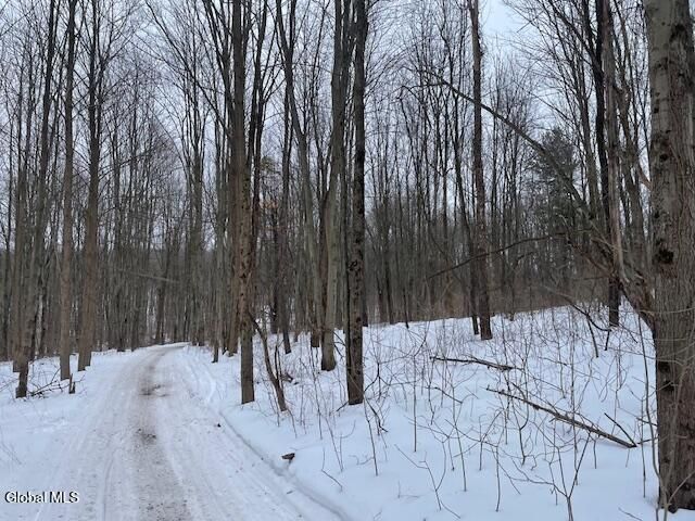 62 Tybush Lane, Brunswick, NY 12180