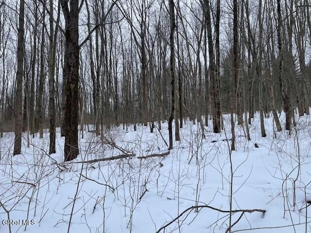 62 Tybush Lane, Brunswick, NY 12180