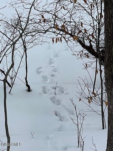 62 Tybush Lane, Brunswick, NY 12180