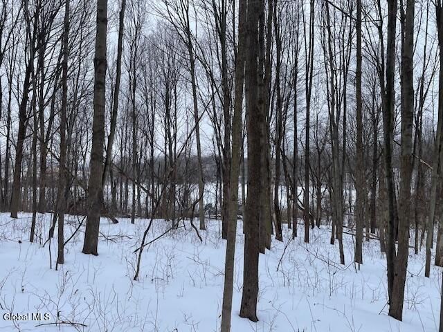 62 Tybush Lane, Brunswick, NY 12180