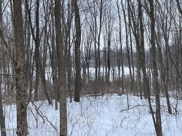 62 Tybush Lane, Brunswick, NY 12180