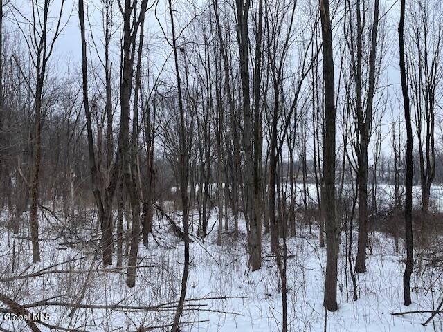 62 Tybush Lane, Brunswick, NY 12180