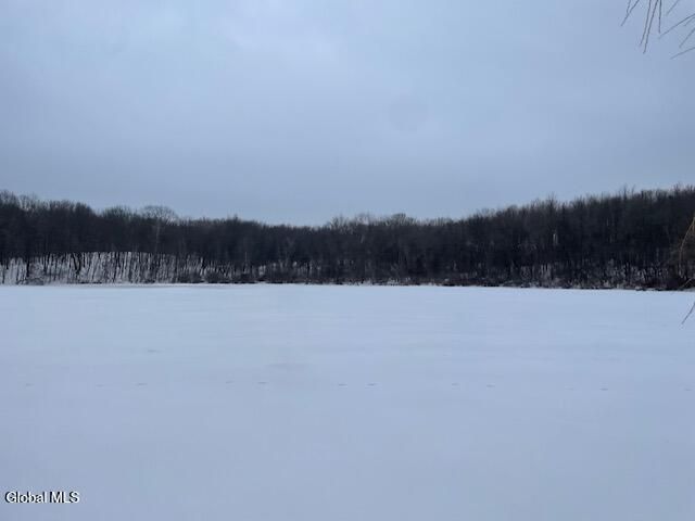 62 Tybush Lane, Brunswick, NY 12180