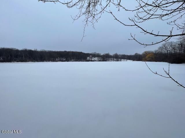 62 Tybush Lane, Brunswick, NY 12180