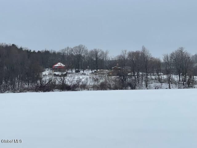 62 Tybush Lane, Brunswick, NY 12180