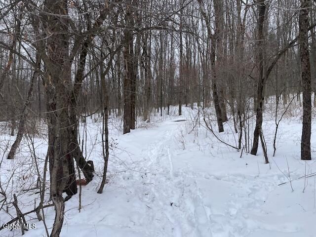 62 Tybush Lane, Brunswick, NY 12180