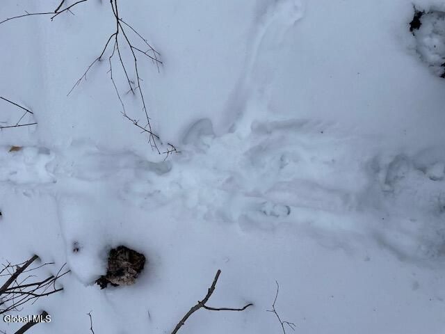 62 Tybush Lane, Brunswick, NY 12180