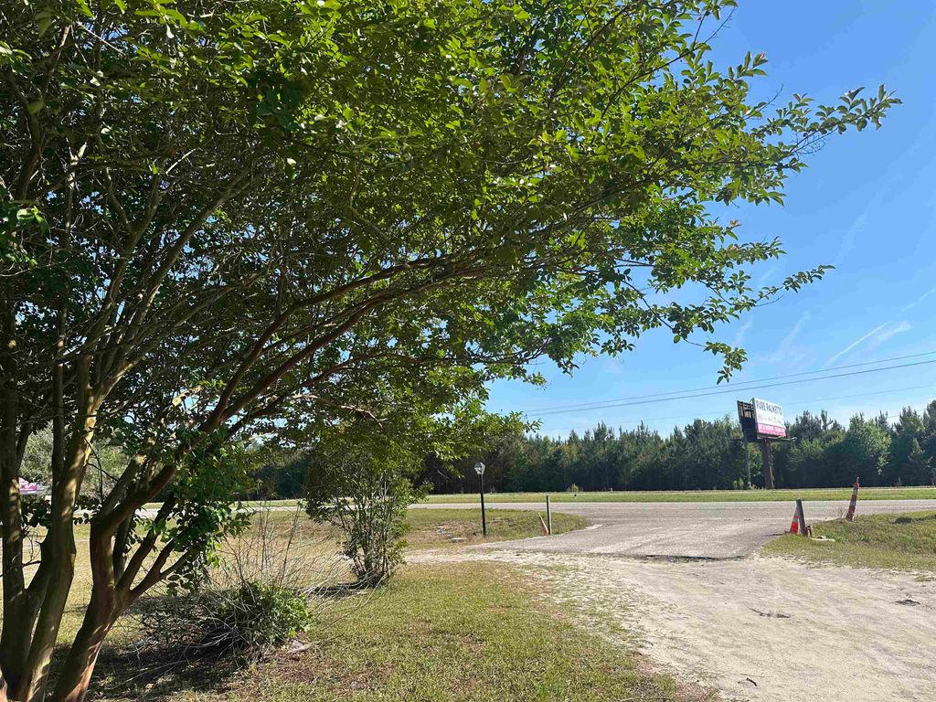 2008 S Highway 501, Marion, SC 29571 — photo 4