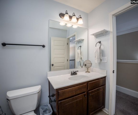 219 Pink Camellia Drive, Lexington, SC 29072