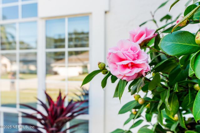 13878 INTRACOASTAL SOUND Drive, Jacksonville, FL 32224