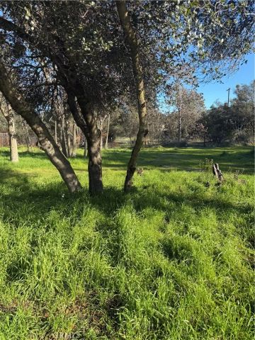 3606 Oleander, Clearlake, CA 95422