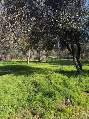 3606 Oleander, Clearlake, CA 95422