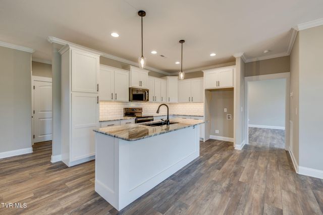 3019 Sawgrass Drive, Jonesborough, TN 37659
