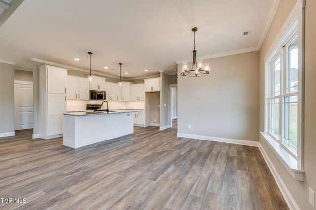 3019 Sawgrass Drive, Jonesborough, TN 37659