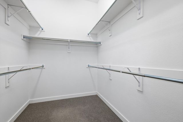 3681 Hollow Pine Drive, Frisco, TX 75033