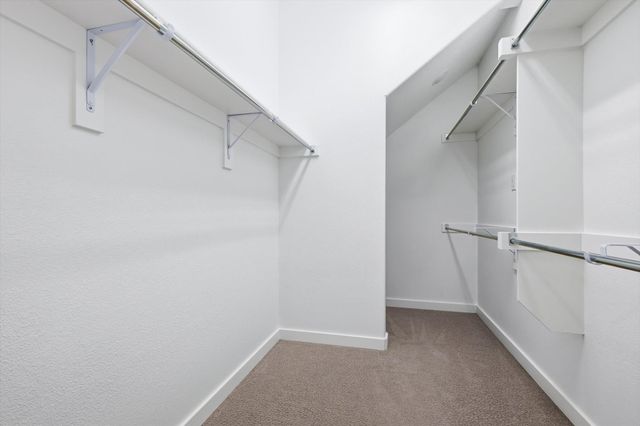 3681 Hollow Pine Drive, Frisco, TX 75033