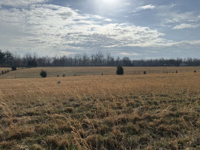 789 Mount Vernon Rd, Bethpage, TN 37022