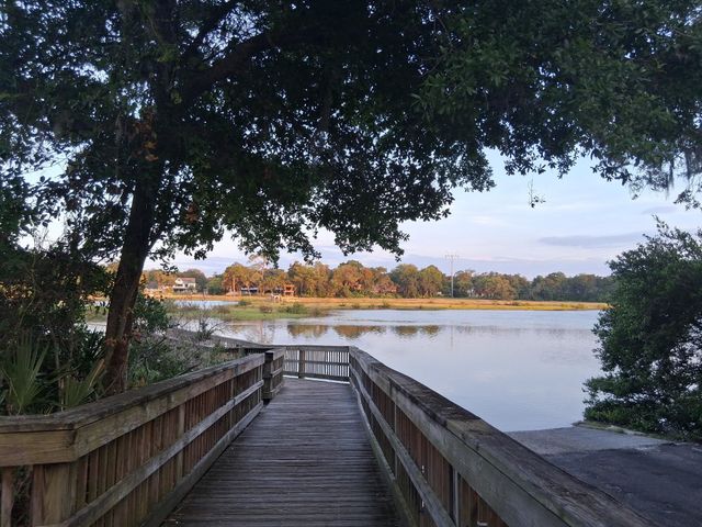 320 Lobelia RD, St Augustine, FL 32086