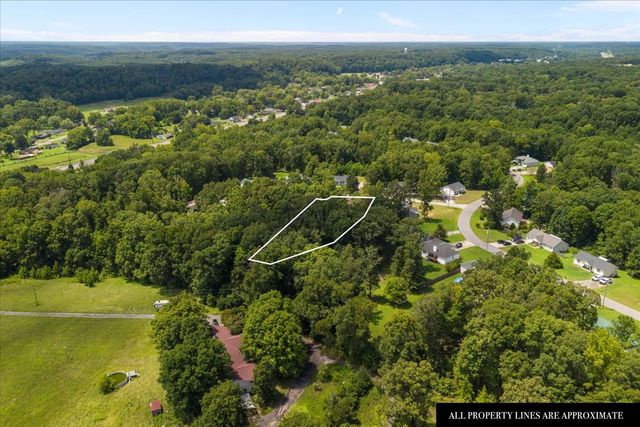45 Bill Ct, Waverly, TN 37185
