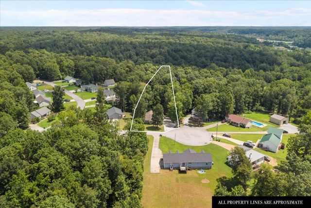 45 Bill Ct, Waverly, TN 37185