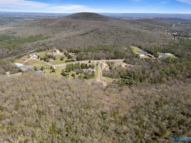 4.6 Acres Pulaski Pike, Huntsville, AL 35810