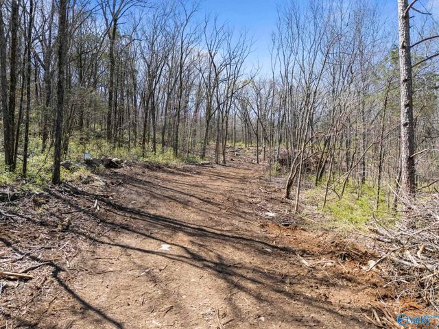 4.6 Acres Pulaski Pike, Huntsville, AL 35810