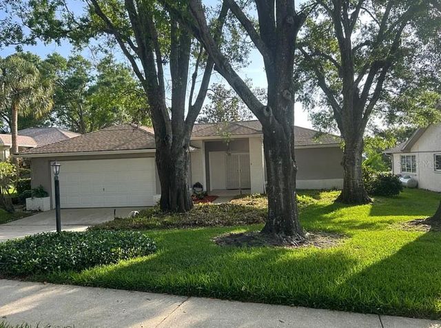 1225 GILLESPIE DRIVE N, Palm Harbor, FL 34684