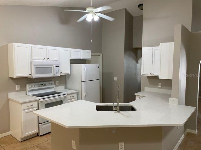 1123 BREEZY KNOLL STREET, Minneola, FL 34715