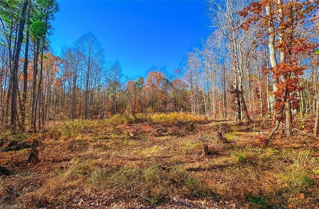 170 Hash Lane, Summerfield, NC 27358