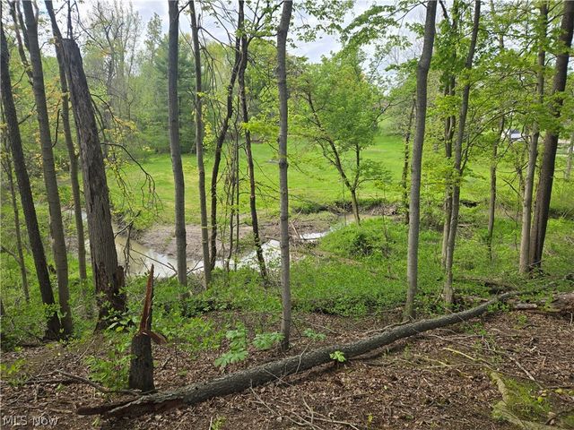 46457 Whitney Road, Wellington, OH 44090