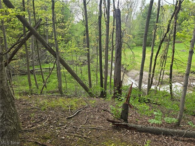 46457 Whitney Road, Wellington, OH 44090