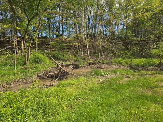 46457 Whitney Road, Wellington, OH 44090