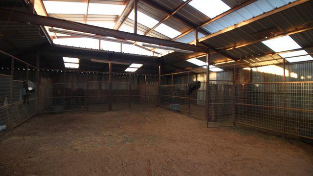 525 County Road 310, Abilene, TX 79606