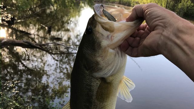 525 County Road 310, Abilene, TX 79606