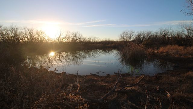 525 County Road 310, Abilene, TX 79606