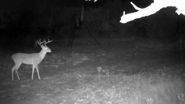 525 County Road 310, Abilene, TX 79606