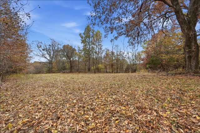 0 Vaughn Lane, Indian Mound, TN 37079