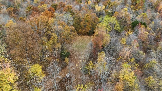 0 Vaughn Lane, Indian Mound, TN 37079