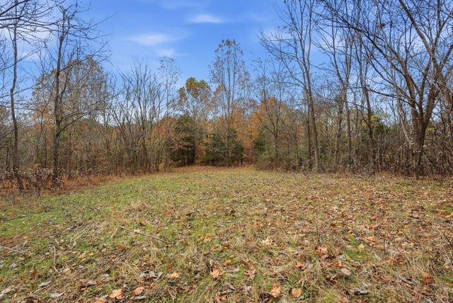 0 Vaughn Lane, Indian Mound, TN 37079