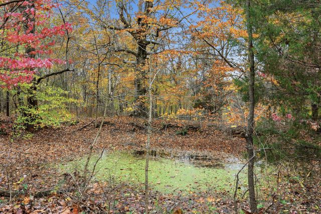 0 Vaughn Lane, Indian Mound, TN 37079