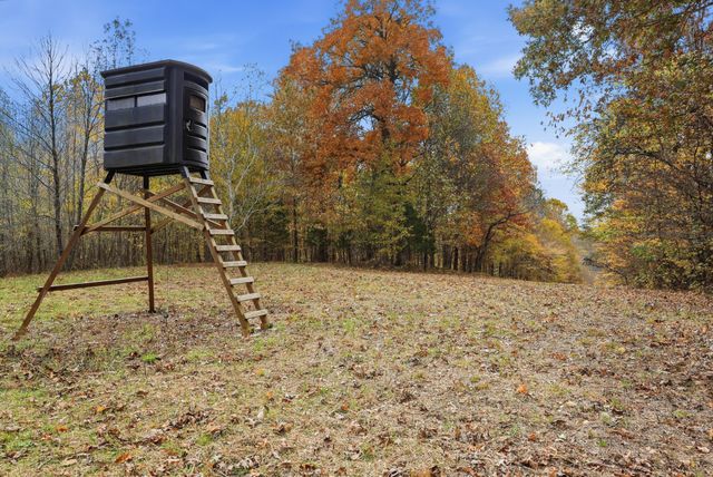 0 Vaughn Lane, Indian Mound, TN 37079