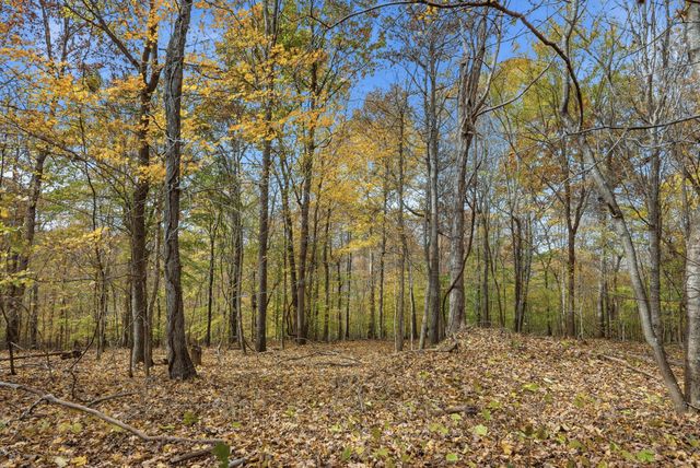 0 Vaughn Lane, Indian Mound, TN 37079