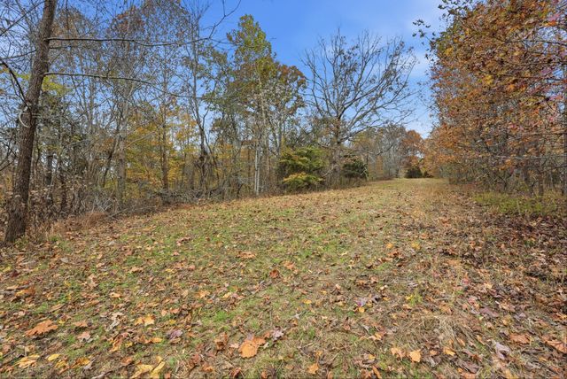 0 Vaughn Lane, Indian Mound, TN 37079