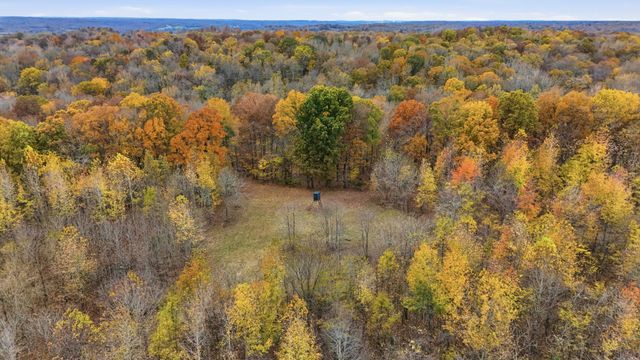 0 Vaughn Lane, Indian Mound, TN 37079